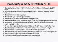 Bakterilerin Genel Özellikleri Nelerdir?