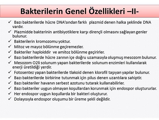 Bakterilerin Genel zellikleri