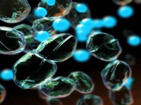 Metan Bakterileri Özellikleri ve Faydaları Nelerdir?