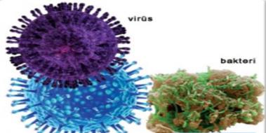 Virüs ve Bakterilerin Neden Olduğu Hastalıklar
